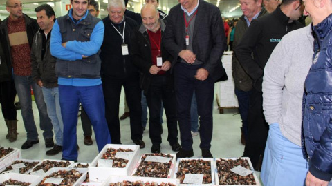 El secretario general del PSdeG, José Ramón Gómez Besteiro, durante su visita a la lonja de A Coruña junto a candidatos al Congreso y al Senado, esta mañana en A Coruña. Gómez Besteiro ha augurado la victoria socialista en las elecciones de El secretario general del PSdeG, José Ramón Gómez Besteiro, durante su visita a la lonja de A Coruña junto a candidatos al Congreso y al Senado, esta mañana en A Coruña. Gómez Besteiro ha augurado la victoria socialista en las elecciones de