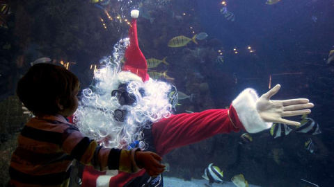 Un niño se abraza a Papá Noel en el Oceanográfico de la Ciudad de las Artes y las Ciencias de Valencia. Uno de los biólogos del parque se ha disfrazado y ha entrado en el acuario del Mar Rojo para felicitar la Navidad a los niños. EFE/Manue
