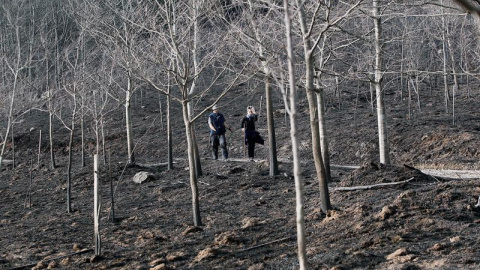 El incendio declarado este sábado en Igantzi y que tuvo su origen en la caída de un árbol sobre un tendido eléctrico, también ha afectado a zonas arboladas de monte del término de Lesaka, y ha sido controlado este domingo por la mañana por El incendio declarado este sábado en Igantzi y que tuvo su origen en la caída de un árbol sobre un tendido eléctrico, también ha afectado a zonas arboladas de monte del término de Lesaka, y ha sido controlado este domingo por la mañana por