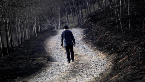 El incendio declarado este sábado en Igantzi y que tuvo su origen en la caída de un árbol sobre un tendido eléctrico, también ha afectado a zonas arboladas de monte del término de Lesaka donde un total de unas 250 hectáreas se han visto afe El incendio declarado este sábado en Igantzi y que tuvo su origen en la caída de un árbol sobre un tendido eléctrico, también ha afectado a zonas arboladas de monte del término de Lesaka donde un total de unas 250 hectáreas se han visto afe