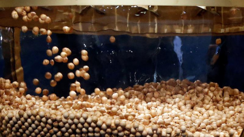 Las bolas caen en el bombo más grande del sorteo de Navidad. /EFE