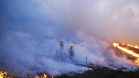 Los bomberos atraviesan el humo mientras luchan por apagar el incendio forestal cerca de la ciudad vasca Berango, cerca de Bilbao. 28 de diciembre de 2015. REUTERS / Vicente West