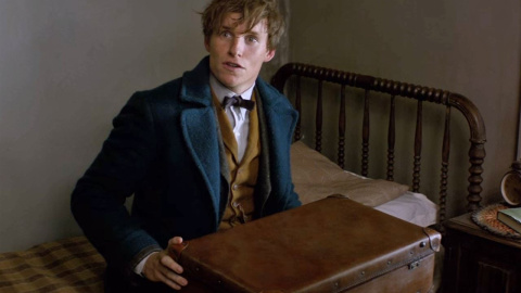 Pelicula ANIMALES FANTÁSTICOS Y DÓNDE ENCONTRARLOS