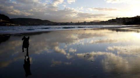 Un perro juega al amanecer en la playa de Ondarreta de San Sebastián. EFE/Javier Etxezarreta