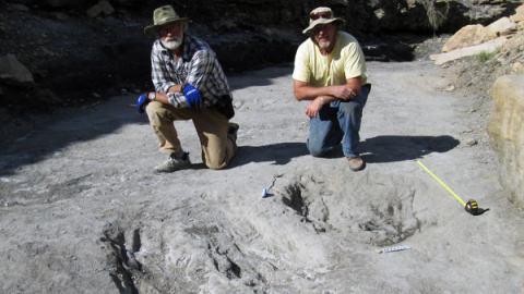 Los investigadores Martin Lockley (derecha) y Ken Cesta posan junto a los grandes rasguños de dinosaurio que descubrieron en el oeste de Colorado / Universidad de Colorado