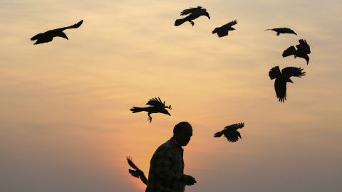 Un hombre indio da de comer a las gaviotas durante la puesta de sol en Bombay, India. EFE/Divyakant Solanki