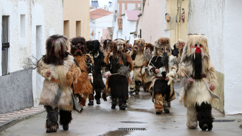 Acehúche (Cáceres) ha celebrado ‘Las Carantoñas’ en honor a San Sebastián, que son hombres disfrazados con pieles de animales. Según la leyenda, en su día arrojaron al santo a las fieras porque no rechazaba su cristianismo, pero éstas no le