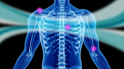 Convertir el cuerpo en robot como vía para conseguir rehabilitar las lesiones Convertir el cuerpo en robot como vía para conseguir rehabilitar las lesiones