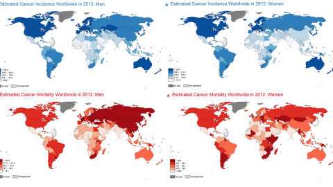En azul incidencia y en rojo mortalidad del cáncer, según GLOBOCAN 2012. A la izquierda hombres y a la derecha mujeres. IARC, OMS.