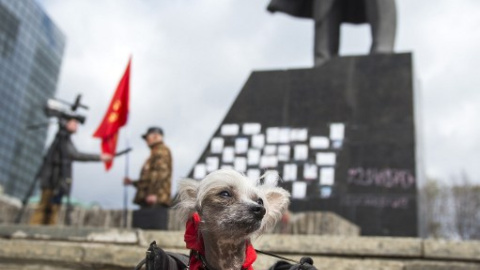 Un perro permanece en su cesta junto a una estatua de Lenin en Donetsk. - AFP
