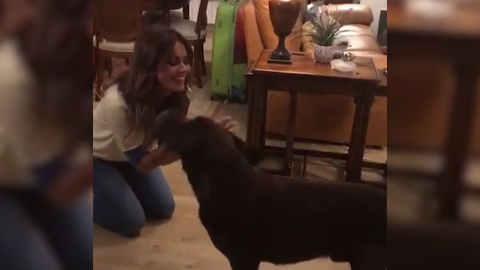Lara Álvarez se reencuentra con alguien muy especial Lara Álvarez se reencuentra con alguien muy especial