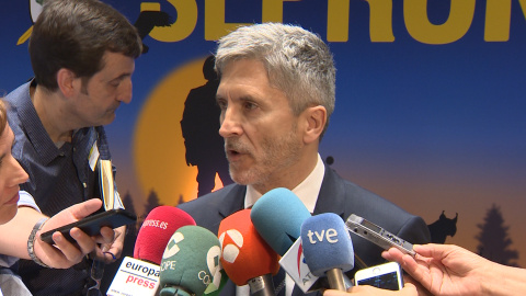 Marlaska: "SEPRONA es sinónimo de cuidado de nuestro patrimonio" Marlaska: "SEPRONA es sinónimo de cuidado de nuestro patrimonio"