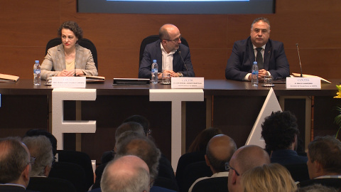 Magdalena Valerio (PSOE) en la COCETA Magdalena Valerio (PSOE) en la COCETA