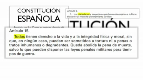 El director de la RAE no ve acorde la propuesta de "feminizar la Constitución" El director de la RAE no ve acorde la propuesta de "feminizar la Constitución"