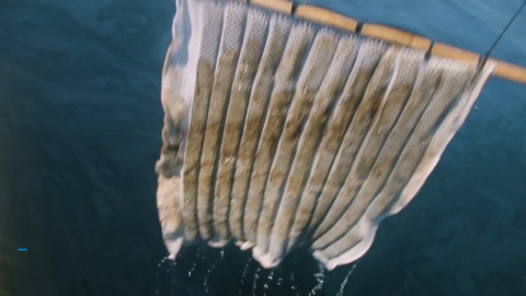 Probada con éxito una esponja que limpia vertidos de petróleo Probada con éxito una esponja que limpia vertidos de petróleo