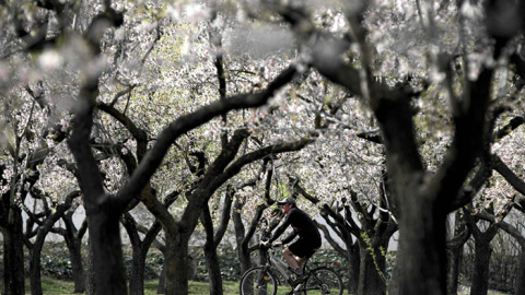 La primavera será más cálida de lo normal, tras el segundo invierno más caluroso en 55 años./REUTERS La primavera será más cálida de lo normal, tras el segundo invierno más caluroso en 55 años./REUTERS