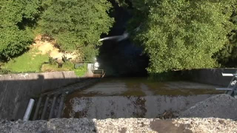 Científicos españoles estudian los efectos ambientales del vaciado de los embalses Científicos españoles estudian los efectos ambientales del vaciado de los embalses