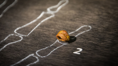 Falange del homínido de Denísova. / Wikipedia Falange del homínido de Denísova. / Wikipedia