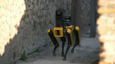 Un perro robot vigilará el conjunto histórico de Pompeya Un perro robot vigilará el conjunto histórico de Pompeya
