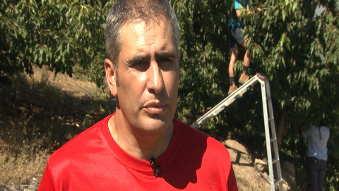 Picotas del Jerte con Denominación de Origen Protegida Picotas del Jerte con Denominación de Origen Protegida