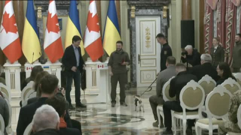 'Patrol', orgullo canino de Ucrania 'Patrol', orgullo canino de Ucrania