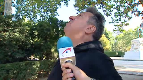 Las cotorras argentinas se convierten en una plaga en Madrid Las cotorras argentinas se convierten en una plaga en Madrid