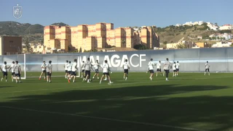 La selección española testa el césped de La Rosaleda La selección española testa el césped de La Rosaleda