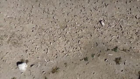 El embalse de Peñuelas en Chile está practicamente seco El embalse de Peñuelas en Chile está practicamente seco