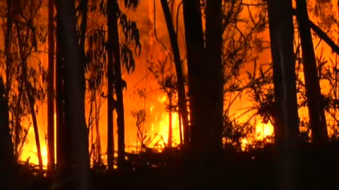 Los bomberos controlan dos incendios en Tomiño (Pontevedra) Los bomberos controlan dos incendios en Tomiño (Pontevedra)