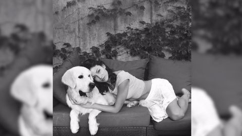 Los famosos y su relación con los animales Los famosos y su relación con los animales