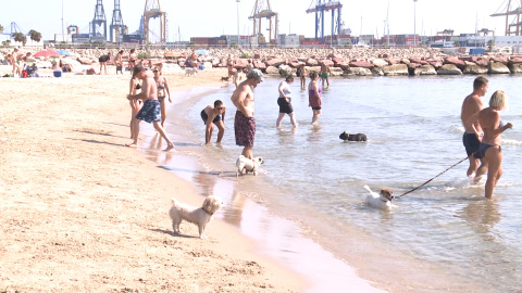 La playa canina de Pinedo abre hasta el próximo 15 de septiembre La playa canina de Pinedo abre hasta el próximo 15 de septiembre
