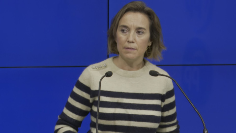 Gamarra (PP): "Hay espacios intermedios al estado de alarma" Gamarra (PP): "Hay espacios intermedios al estado de alarma"