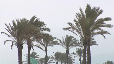 La gota fría afecta al turismo La gota fría afecta al turismo