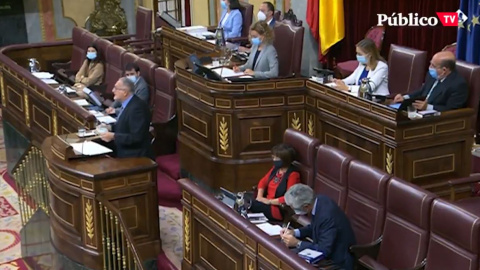 El enésimo 8-M de Vox El enésimo 8-M de Vox