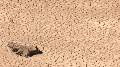 La desertización avanza en España La desertización avanza en España