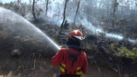Los bomberos de Castilla y León, al límite: "Perder la vida es peor que perder el trabajo" Los bomberos de Castilla y León, al límite: "Perder la vida es peor que perder el trabajo"