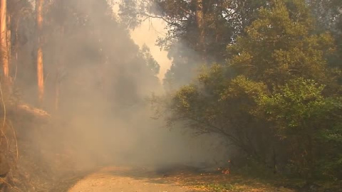 Sigue la lucha de los bomberos por controlar el incendio de Arbo Sigue la lucha de los bomberos por controlar el incendio de Arbo