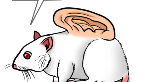 tumblr_lqsnsoUUsp1qbogk6o1_500