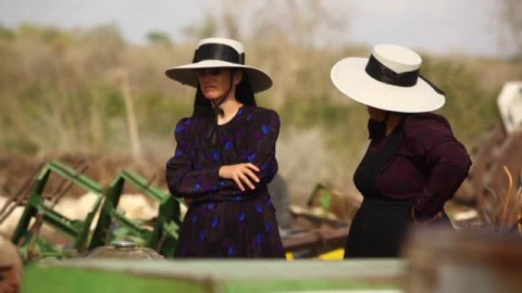 Los menonitas de México y la deforestación Los menonitas de México y la deforestación