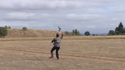Jornadas de Cetrería Jornadas de Cetrería
