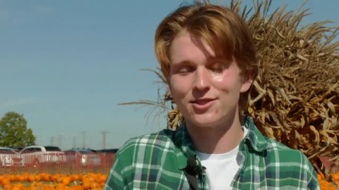 Comienza la temporada de calabazas en Estados Unidos Comienza la temporada de calabazas en Estados Unidos