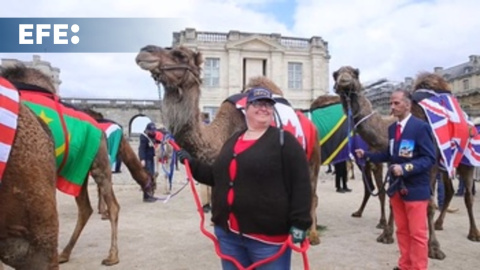 Decenas de camélidos participan en un desfile por el centro de París Decenas de camélidos participan en un desfile por el centro de París
