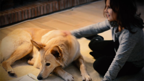 Captura del vídeo de Navidad del Pacma.- PACMA Captura del vídeo de Navidad del Pacma.- PACMA