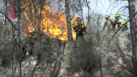 Se da por estabilizado el incendio de Tárbena (Alicante) Se da por estabilizado el incendio de Tárbena (Alicante)