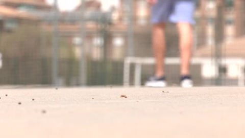 Uno de cada cuatro jóvenes sufre soledad no deseada Uno de cada cuatro jóvenes sufre soledad no deseada