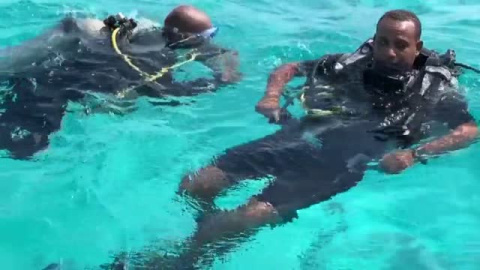 Los corales marinos, una joya de la humanidad amenazada por el cambio climático Los corales marinos, una joya de la humanidad amenazada por el cambio climático