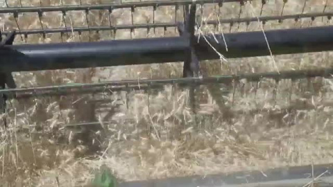 Rusia mantiene el bloqueo de más de 170 buques de grano en el mar Negro Rusia mantiene el bloqueo de más de 170 buques de grano en el mar Negro