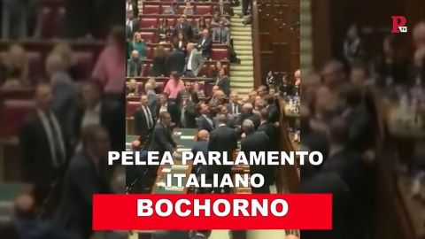 Pelea en el parlamento italiano Pelea en el parlamento italiano