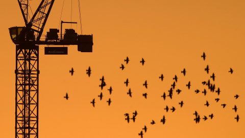 Una bandada de pájaros cruzan el cielo de Londres ayer durante el crepúsculo. / TOBY MELVILLE Una bandada de pájaros cruzan el cielo de Londres ayer durante el crepúsculo. / TOBY MELVILLE