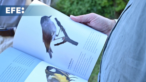 La ciencia también padece la "España vaciada" La ciencia también padece la "España vaciada"